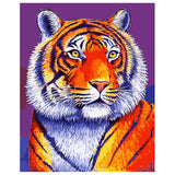 DIY Painting by number kit | African Tiger