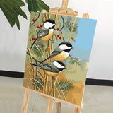 DIY Painting by number kit | Three magpies