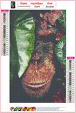 Full Diamond Painting kit - Orangutan on the flowers