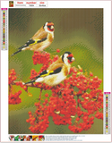 Full Diamond Painting kit - Goldfinch