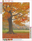 Full Diamond Painting kit - Maple tree in late autumn