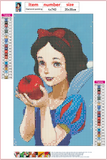 Full Diamond Painting kit - Snow white