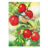 Crystal Rhinestone Diamond Painting Kit - Bird and red fruits