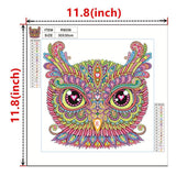 Crystal Rhinestone Diamond Painting Kit - Cartoon Owl - Hibah-Diamond painting art studio