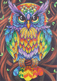 Crystal Rhinestone Diamond Painting Kit - Color owl - Hibah-Diamond painting art studio