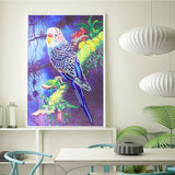 Crystal Rhinestone Diamond Painting Kit - Cute parrot - Hibah-Diamond painting art studio