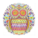 Crystal Rhinestone Diamond Painting Kit - Owl - Hibah-Diamond?painting art studio