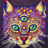 Crystal Rhinestone diamond painting kit - three-eyed civet cat