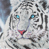 Crystal Rhinestone Diamond Painting Kit - White tiger