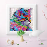 Rainbow Cat serie Diamond Painting Frames Diseño Manual