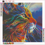 Full Diamond Painting kit - Colorful texture cat