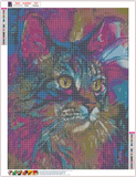 Full Diamond Painting kit - Color cat