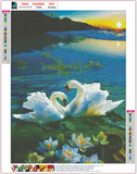 Full Diamond Painting kit - Two swans