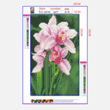 Full Diamond Painting kit - Flower Orchids