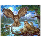 Full Diamond Painting kit - Four owls