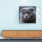 Full Diamond Painting kit - Blue cat