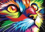 Full Diamond Painting kit - Colorful cat