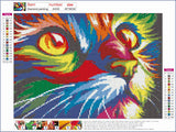 Full Diamond Painting kit - Colorful cat
