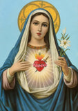 Full Diamond Painting kit - Virgin mary