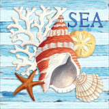 Full Diamond Painting kit - Sea snail