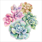 Full Diamond Painting kit - Succulent plants