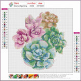 Full Diamond Painting kit - Succulent plants