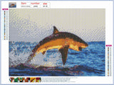 Full Diamond Painting kit - Shark