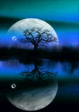 Full Diamond Painting kit - Moon over the lake