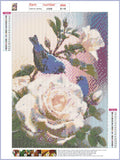 Full Diamond Painting kit - Flowers and birds