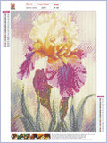 Full Diamond Painting kit - Beautiful flower