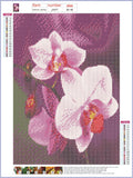 Full Diamond Painting kit - Beautiful flower