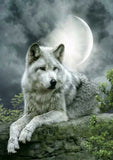 Full Diamond Painting kit - Lone wolf