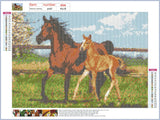Full Diamond Painting kit - Horses family