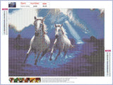 Full Diamond Painting kit - White horses