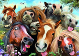 Full Diamond Painting kit - Animal horse herd