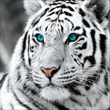 Full Diamond Painting kit - White tiger