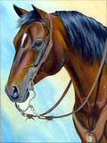 Full Diamond Painting kit - Cute horse