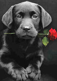 Full Diamond Painting kit - Dog with rose